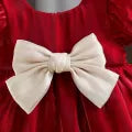 Trendy organza frock for baby girls